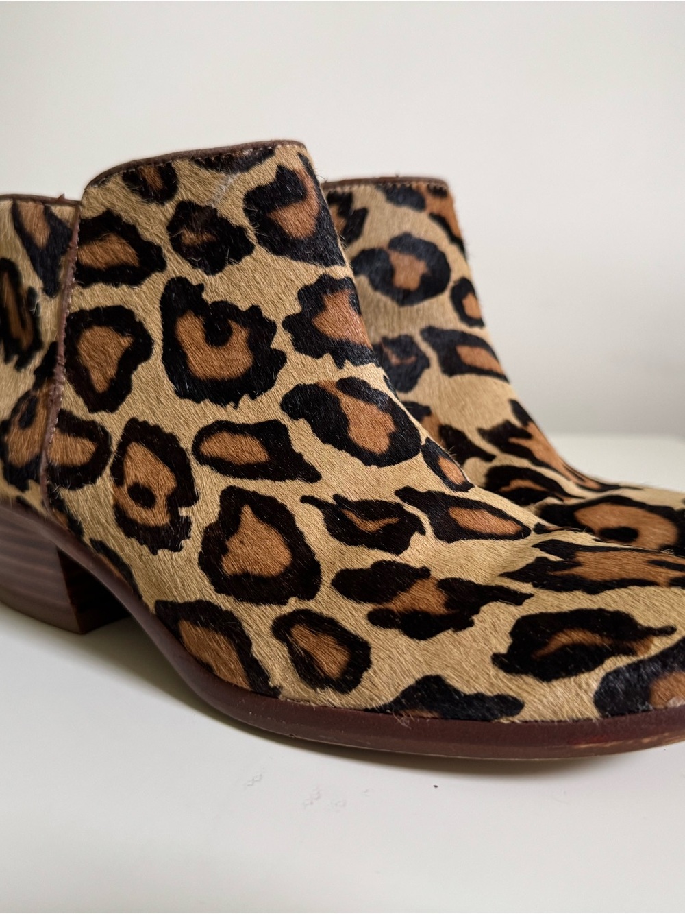 Sam Edelman Leopard Print Ankle Booties - Brown and Black